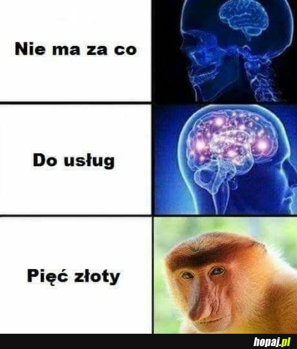 WITAMY W POLSCE
