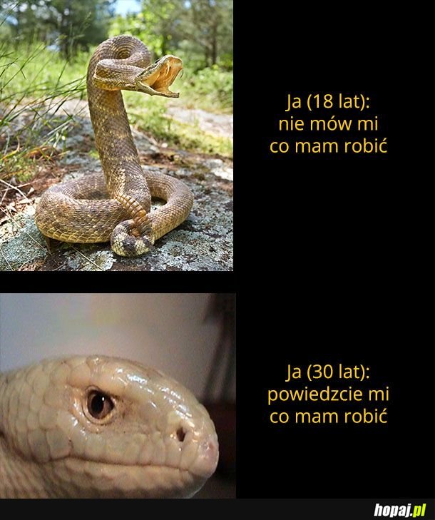 Nie zadzieraj ze mno