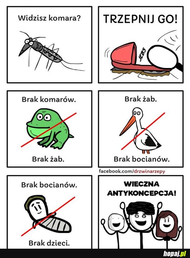 Zagadka rozwiązana 