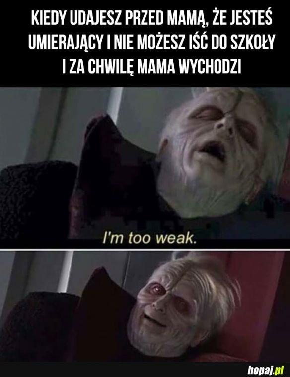 Tak miało być