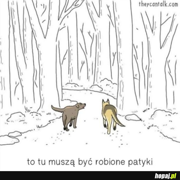 Gdyby zwierzęta potrafiły mówić
