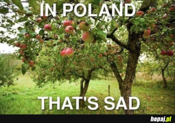 Sucharek językowo-sadowniczy