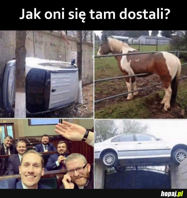 Heheszki