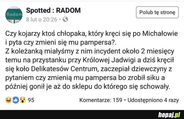 Zaraz... co? 