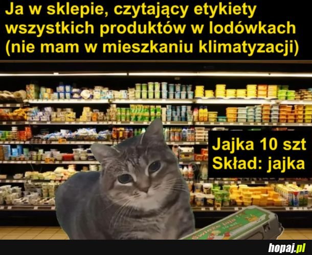 Ciekawe rzeczy