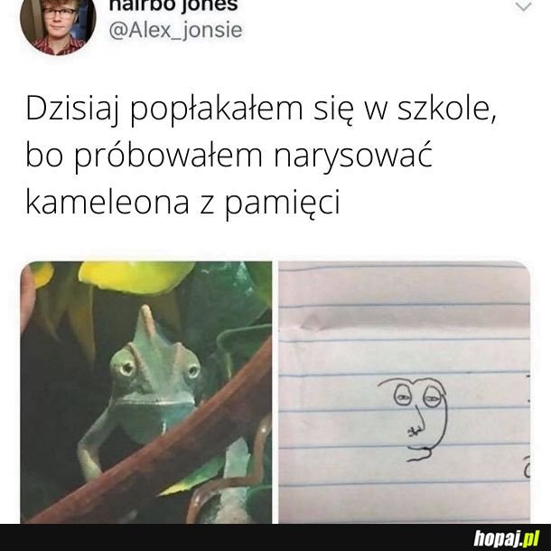 Kameleon