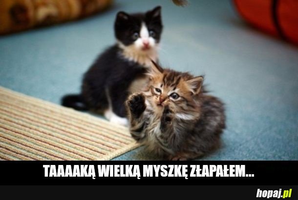 Taaaka była