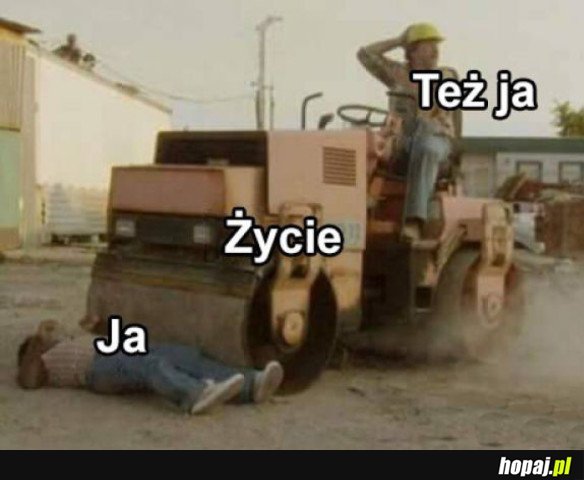 MOJE ŻYCIE