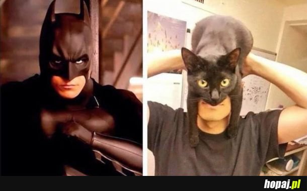  Cosplay 