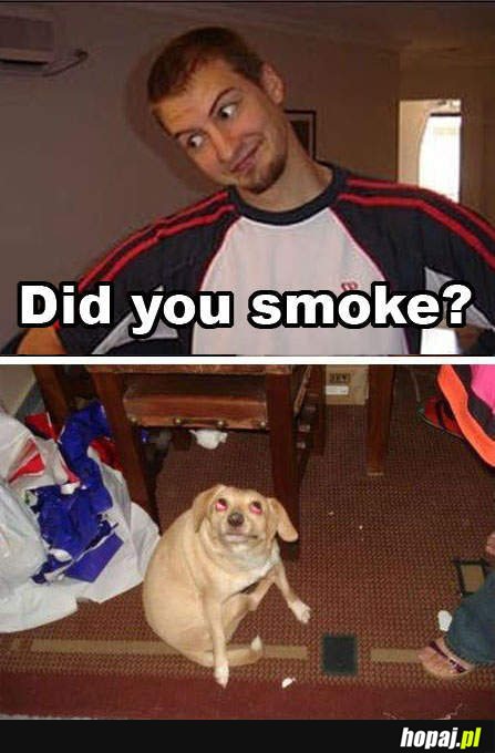 did you smoke?