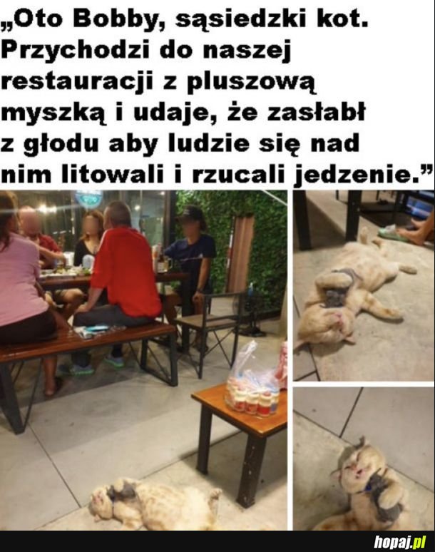 Wypracował sobie metodę