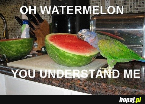 Oh watermelon