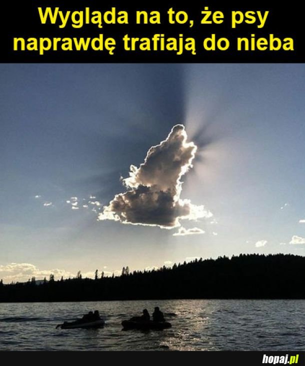 Niebeł