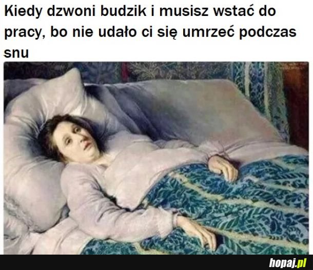 Znowu to samo 