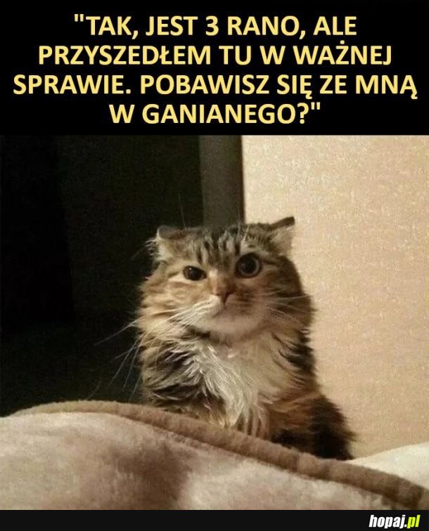 Zabawa