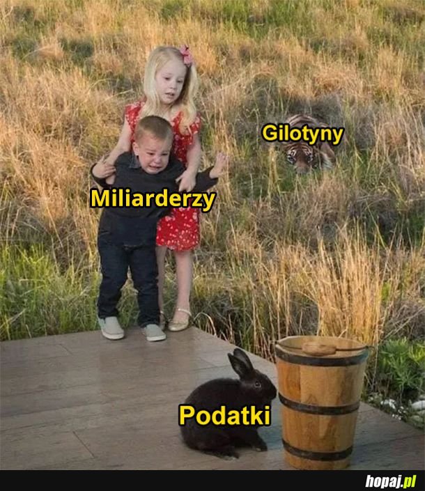 Miliarderzy