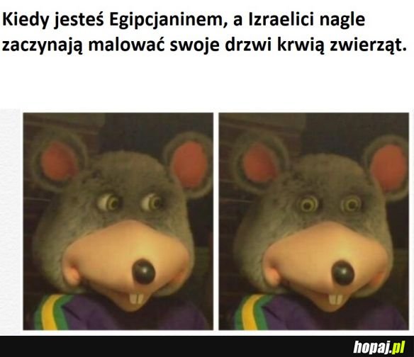 Chyba będą problemy