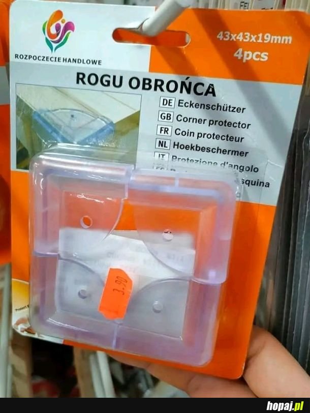 Rogu Obrońca, Strażnik Stołów i Pogromca Kantów