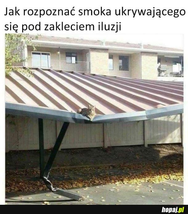 Nie dajcie się zwieść