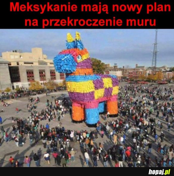 Mają plan