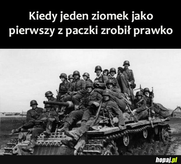 Jedziemy