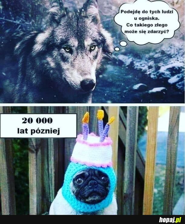 Tak było