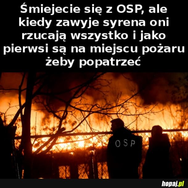  OSP  