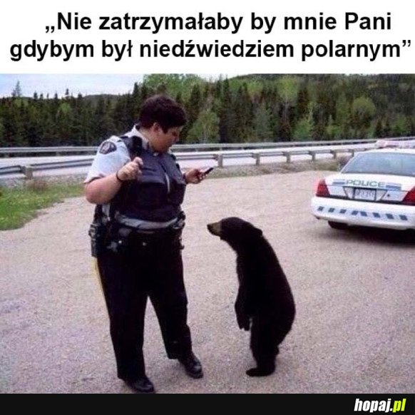 RASIZM W POLICJI