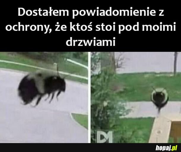Witam 