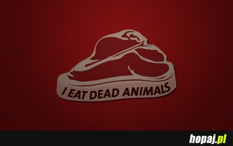 Jem martwe zwierzęta