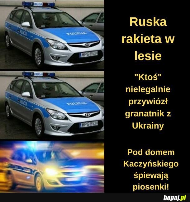 Typowa policja