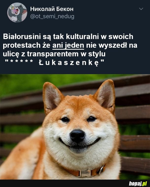 Nie dają pretekstu, rozsądnie jadą z tematem