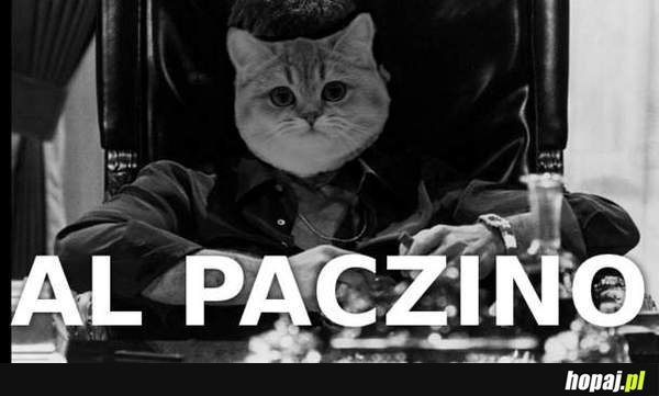 Al paczino