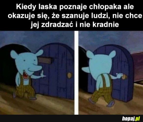 LASKI TAKIE SĄ