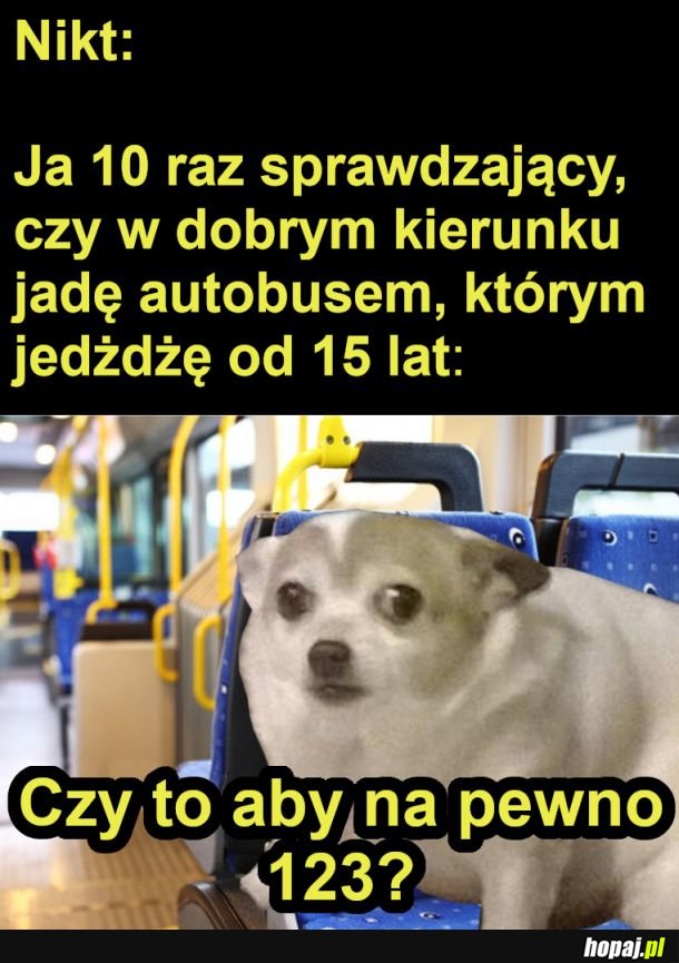 Do dobrego autobusu ja wsiadłem?