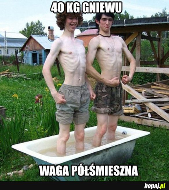 Waga półśmieszna