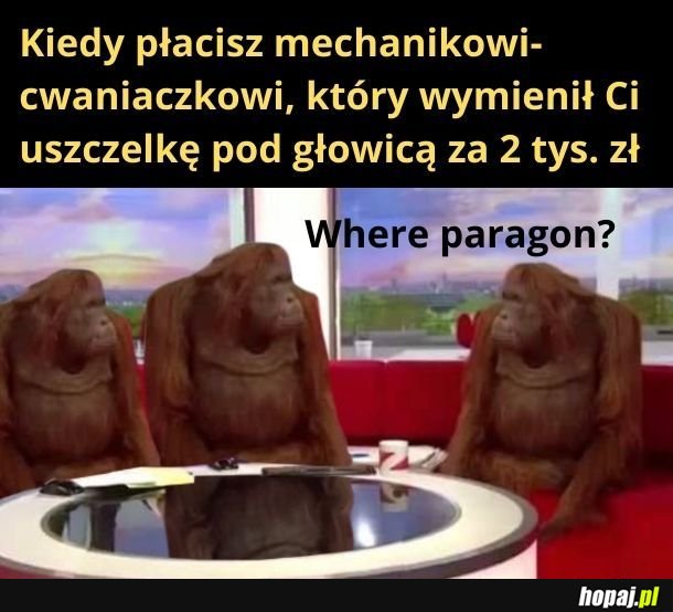 No to może poinformujemy o tym skarbówkę, co?