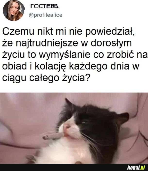 Samodzielne decyzje to jest dramat