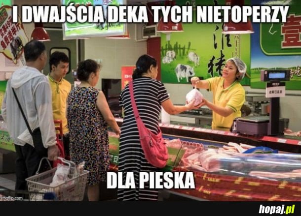 Jedzonko dla piesełka