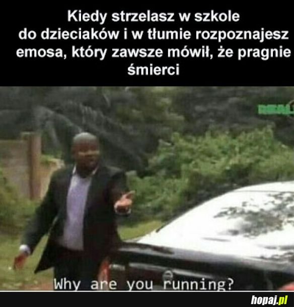 A ty dokąd