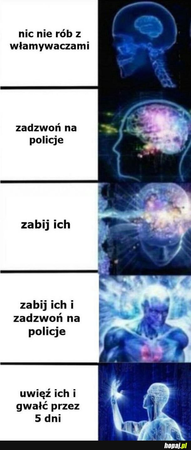 Włamywacze
