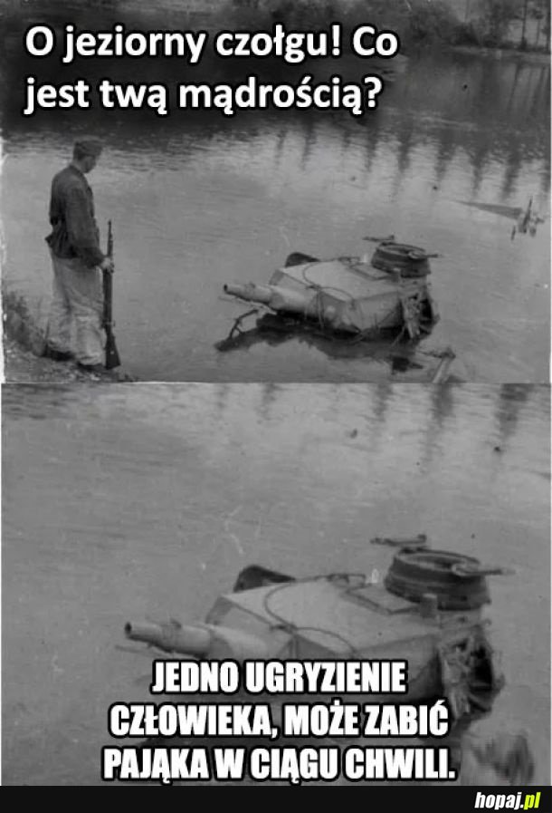 Głęboka myśl