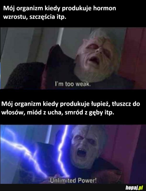 Mój organizm