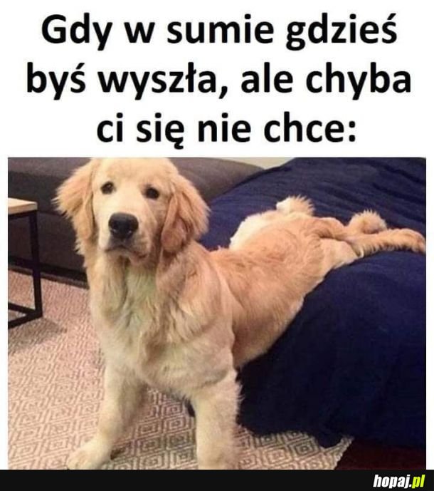 Może...