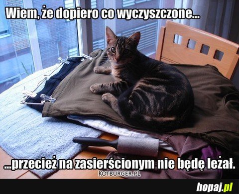 Wiem, że dopiero co wyczyszczone