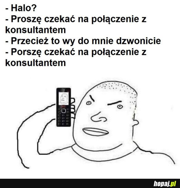 POŁĄCZENIE Z KONSULTANTEM