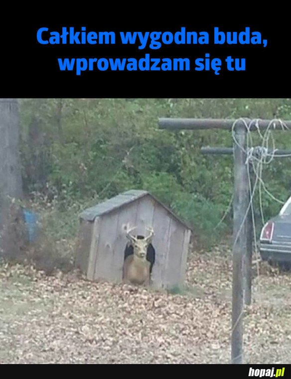 Nowe lokum