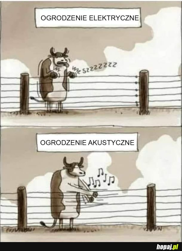 Rodzaje ogrodzeń