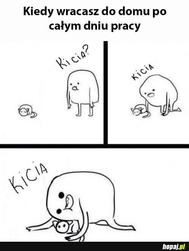 Kicia