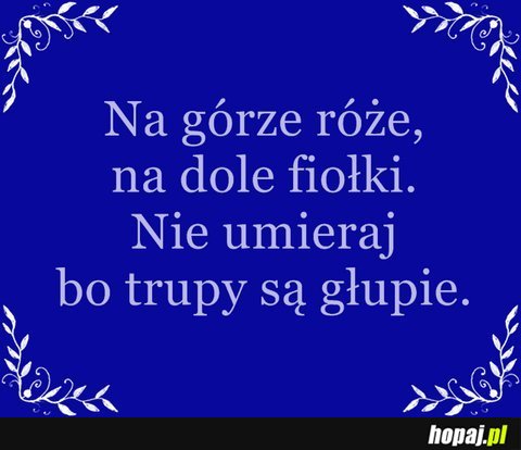 Na górze róże...